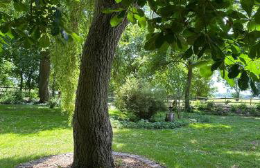 Gut Osterhausen - Foto 36