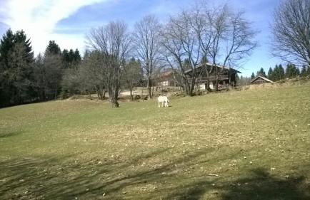 Haus Annemarie - Foto 25