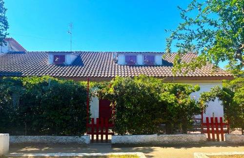 Case Vacanze a Rossano - Foto 5