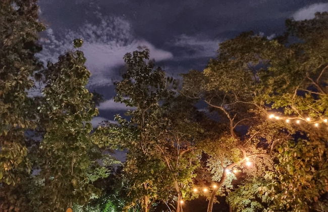 Pinilla Highlands - Foto 68