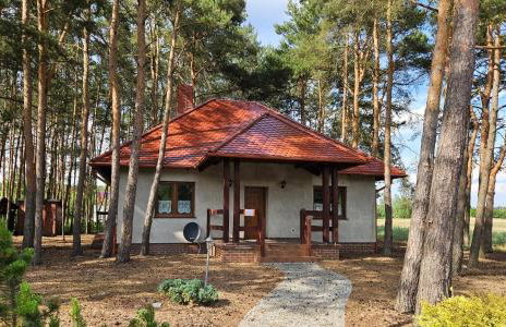 Leśny Zakątek - Foto 1