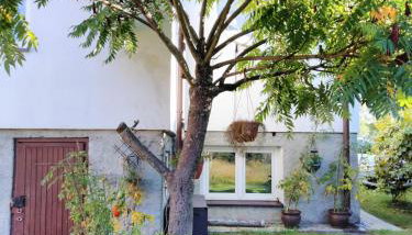 Rustykalny Apartament - Foto 2, Garden