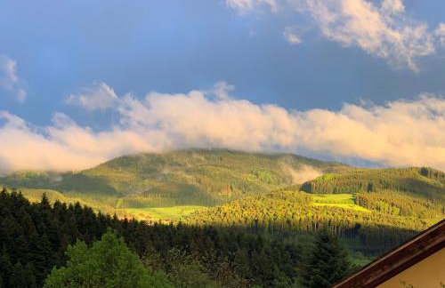 Black Forest Brandenkopfblick - Foto 22