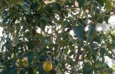 Apartment Marijana - Foto 47