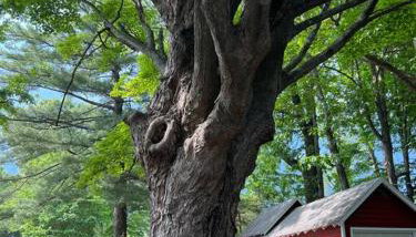 Schoolhouse No. 11 * Hudson Valley Upstate Getaway - Foto 5