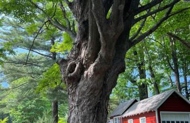 Schoolhouse No. 11 * Hudson Valley Upstate Getaway - Photo 5