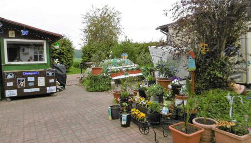 Ruegen_Fewo 58_1 - Photo 2