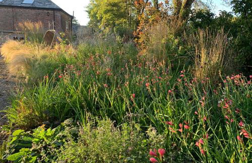 The Old Watermill - Foto 47