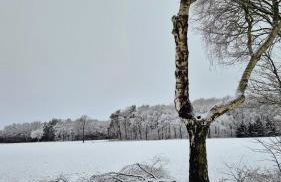 Ferienwohnung Sleep and Stay im Grünen - Foto 38