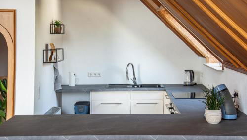 Gemütliche Galerie-Wohnung in Biberach - Foto 5, stove