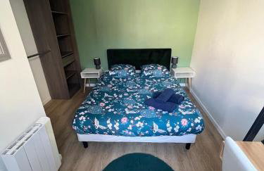 Le Blue Twin - Photo 11