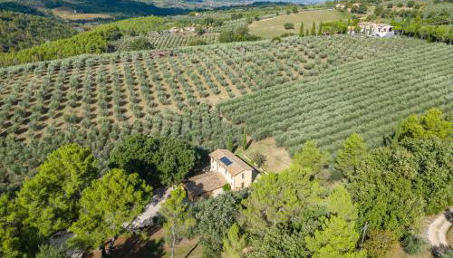 Agriturismo I Getsemani - Photo 4, Garden view