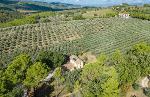 Agriturismo I Getsemani - Photo 4