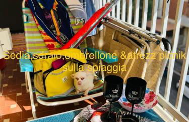 casa dell'artista - Photo 33