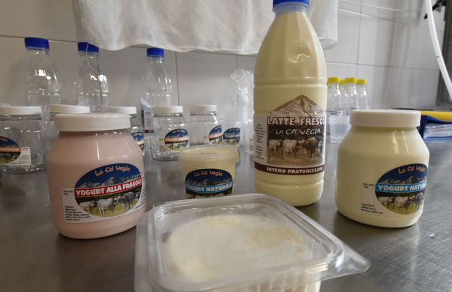 La Cà Vegia - Foto 20