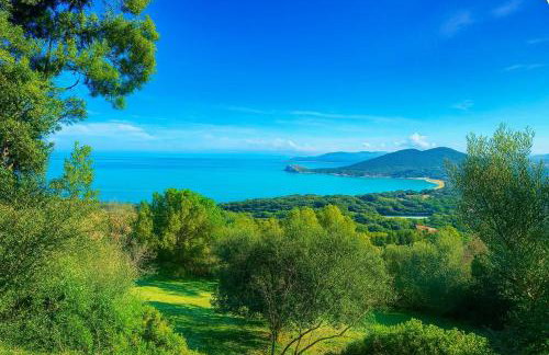 Azulik Corsica - Foto 13