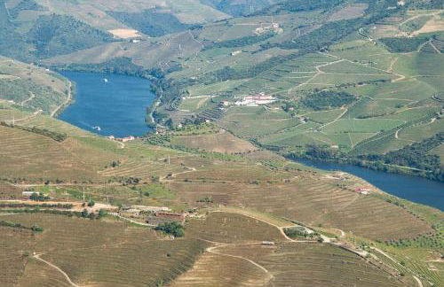 Apartmento - Casa dos Meninos - Foto 42