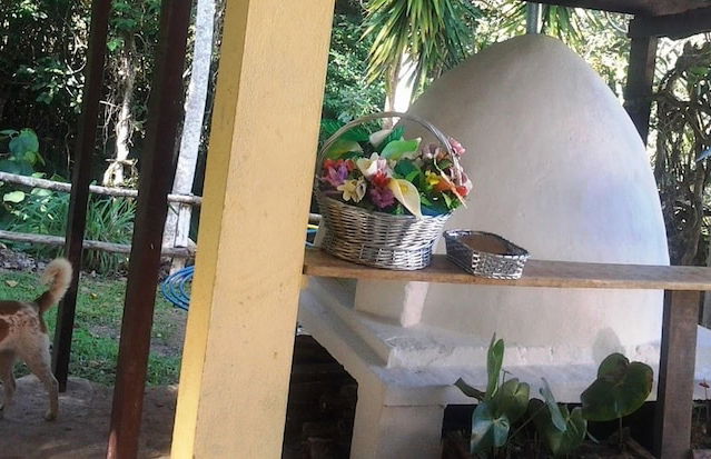 Chácara do Alemão - Recanto Jd.Silvestre - Foto 12