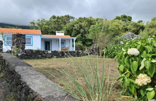 Casa da Mãe - Entre o Pico e a Maré - Photo 2