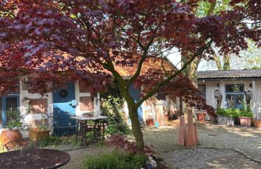 Reetdachtraum in Wischhafen - Photo 13