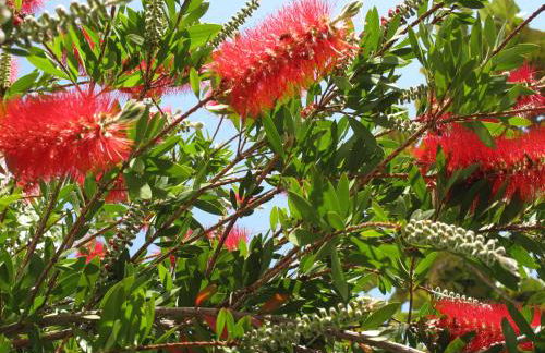 Esplanade Apartments - Heated Pool - Photo 106