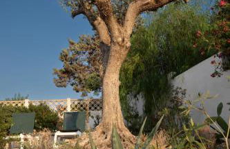 BAIA DELLE AGAVI - Foto 41