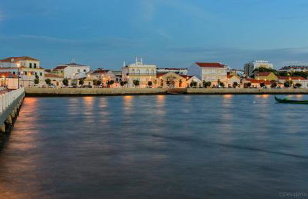 Coração da Vila - Foto 39