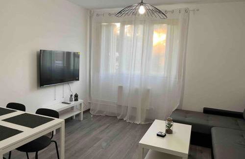 Appartement rénové - Vandoeuvre Lès Nancy - Foto 6