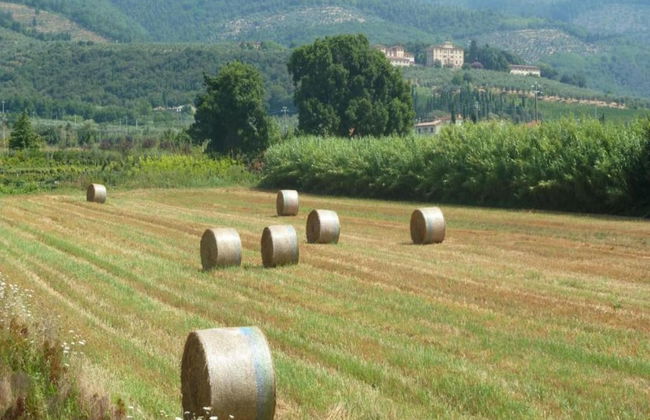 Apartment in Tuscany Near Florence - Foto 22