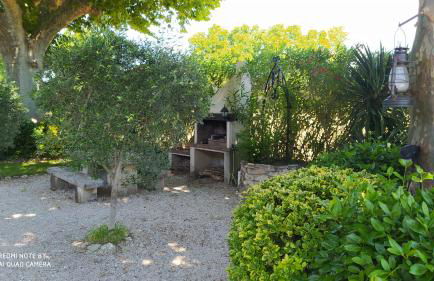 Mas de St-Andiol - Foto 11