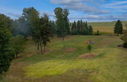 Blue Ribbon Homestead - Foto 77