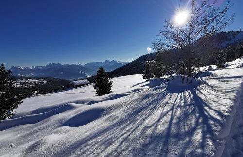 Haus Gläserer apartments - Foto 29