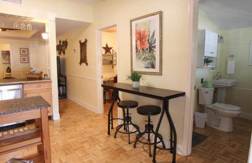 2 Bedroom Apt Overlooking Dunedin Town Square NO KIDS, NO PETS - Photo 40