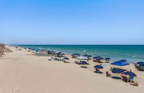 Animal House - Foto 76