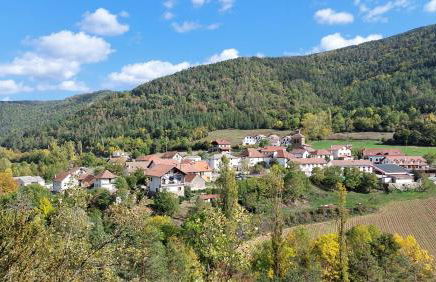 AlaiSuberri - Foto 14