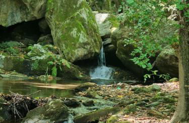 Moses Villa - Foto 49