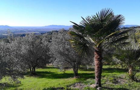 Agriturismo Campo al Crognolo - Foto 9