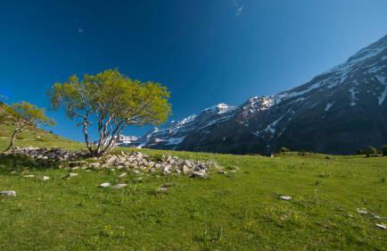 O Chardinet d'a Formiga - Foto 35