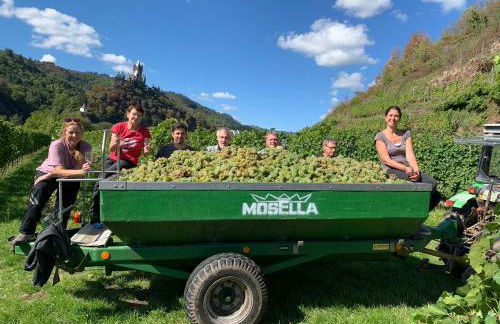 Weingut Gästehaus Bach - Foto 40