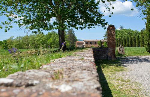 Agriturismo San Galgano - Foto 56