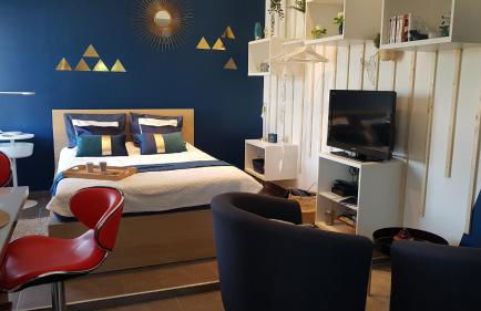 Studio Bleu - Parc Astérix - Mer de Sable - Villepinte - Aéroport CDG - Foto 24