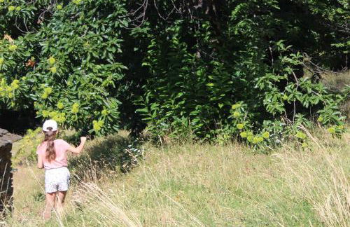 Les Hauts de Saint Privat - Foto 48