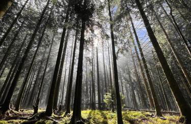 Ferienwohnung GABI - Foto 47