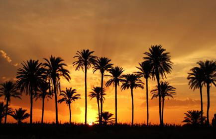 Higuericas Beach Apartment - Foto 28