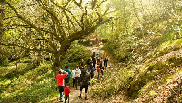 Tour in Allariz - Photo 3