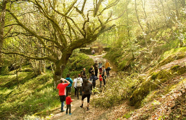 Tour in Allariz - Photo 3