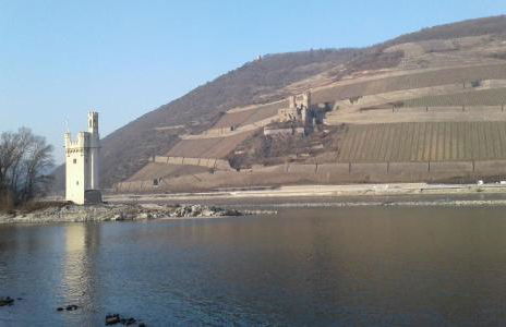 FeWo Batek - Foto 14