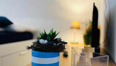 Fewo Sophie - Wlan, Küche, TV, WaMa, Haustiere auf Anfrage - Foto 2