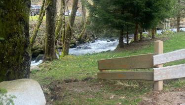 La cabane des écureuils - Foto 5