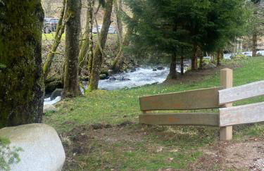 La cabane des écureuils - Foto 5